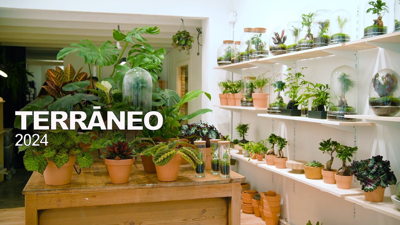 TERRANEO! Visitando una tienda de OBJETOS BOTANICOS en Barcelona