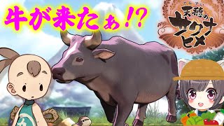 #9【天穂のサクナヒメ】まさかの皆が神に!?都へ向かう～農家の娘がPS5で稲作中！【PS4/switch/STEAM】実況
