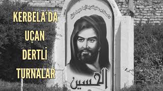 Kerbela’da Uçan Dertli Turnalar Cover