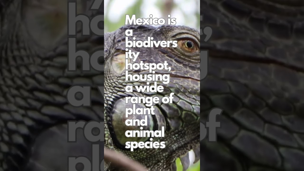 Mexico is a biodiversity hotspot