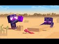 A day at the beach  enderman story