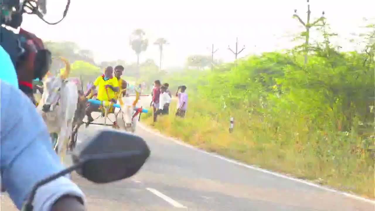 live  புதூர் பாண்டியாபுரம்பூஞ்சிட்டு முதல் சுற்று 28-02-2026