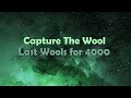 Last wools for 4000... | Hypixel Capture The Wool