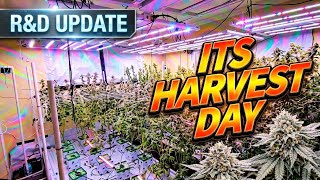 R&D UPDATE HARVEST DAY IS UPON US (EDUCATIONAL DOCUMENTARY)