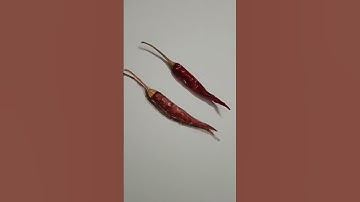 How to draw dry chilli 🌶️ watercolour#art class#tutorial#short#like#share#comments