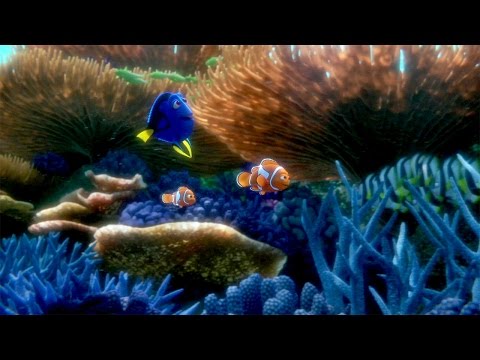 You've Found the Latest 'Finding Dory' Trailer