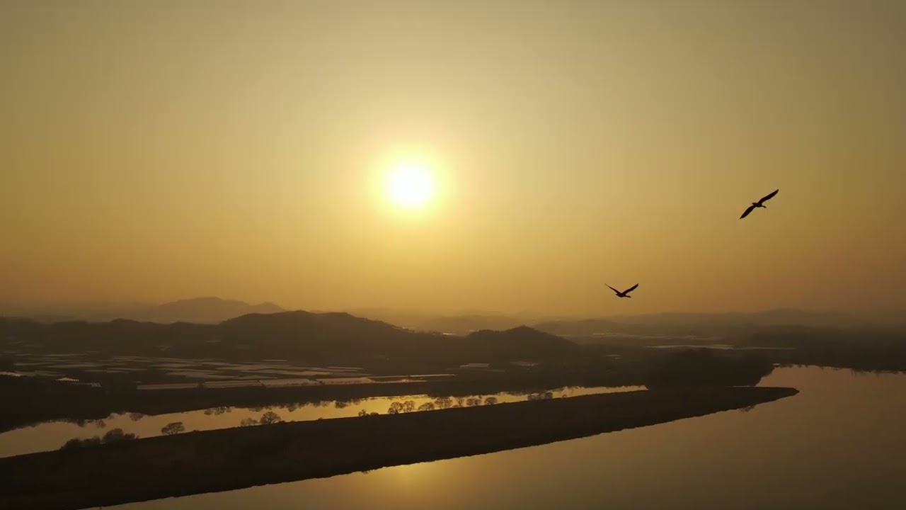 다시한번만(미스트롯4 왕년부 노래)