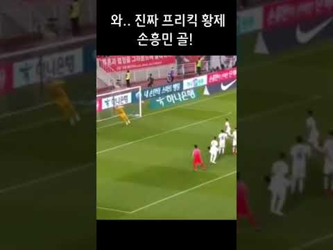 한국 파라과이전 손흥민 경악의 프리킥골 