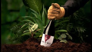 Download lagu Purchase with a Purpose with Kind of Wild Wines 🍷🌎🌳