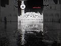 surah muminoon  beautiful reaction    #quran #allah #islamiquran #aayat #youtubeshorts #viral