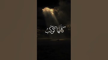 سورة النور [ آية : ٣٥ ] - القارئ الشيخ محمد صديق المنشاوى