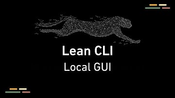 Local Interface - LEAN CLI
