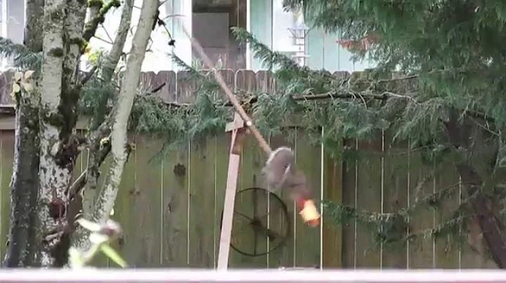 Mattson's Squirrel feeder