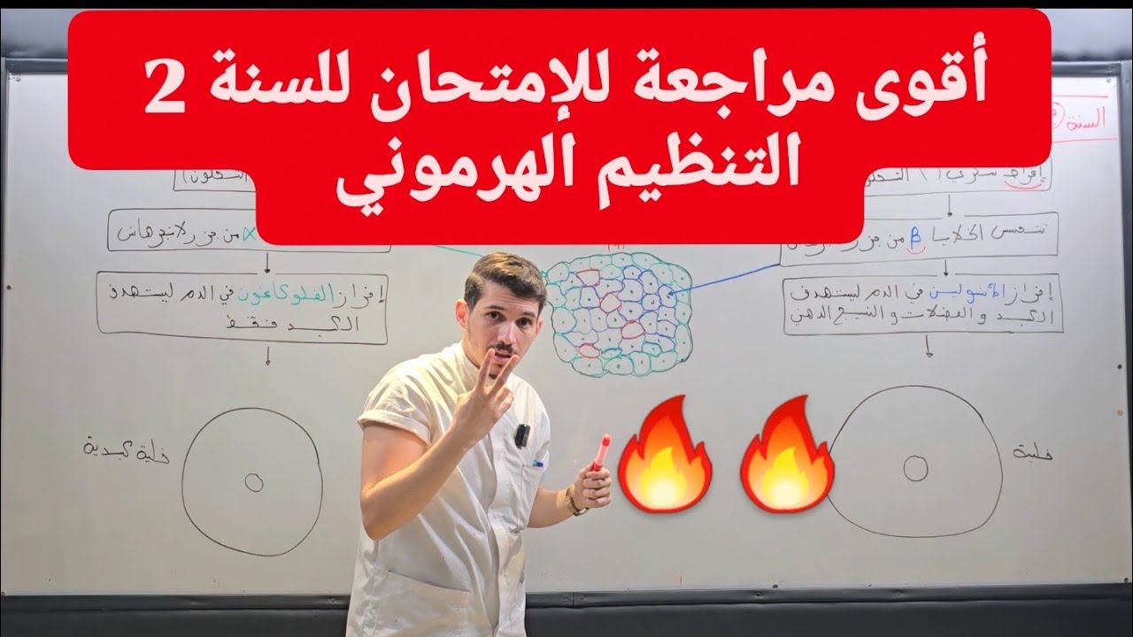 السنة 2 : أقوى مراجعة للإمتحان ( التنظيم الهرموني )