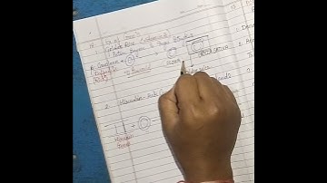 Example Of Genomes | #ScienceWorld