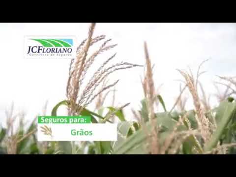 COMERCIAL JC FLORIANO CORRETORA