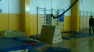 Monkey y front flip.3gp
