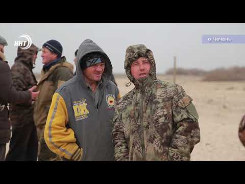 Video: Chechen Island sa Dagestan: paglalarawan, larawan
