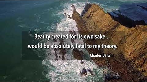 THE PEACOCK MADE CHARLES DARWIN SICK TO HIS STOMACH - HERE