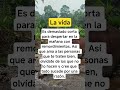 La Vida Es demasiado corta #frases #motivación #reflexion #viralshorts