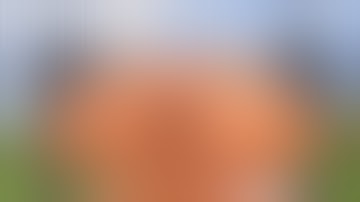 Our neighbors built a trap base... [1/2]