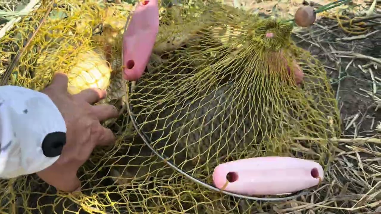 Балик тутиш ун зур жой шахардан 5 км #Рыбакихорезма