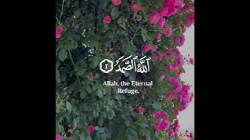 قُلْ هُوَ اللَّهُ أَحَدٌ 💜سورة الإخلاص بصوت جميل جدا 💕حالات واتس اب دينية مؤثرة