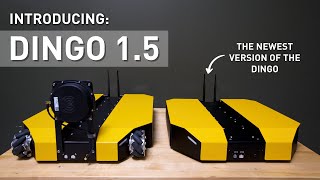 Introducing: Dingo 1.5 | Next Generation of Our Dingo Platform