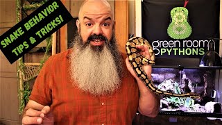 Snake Behavior Tips and Tricks