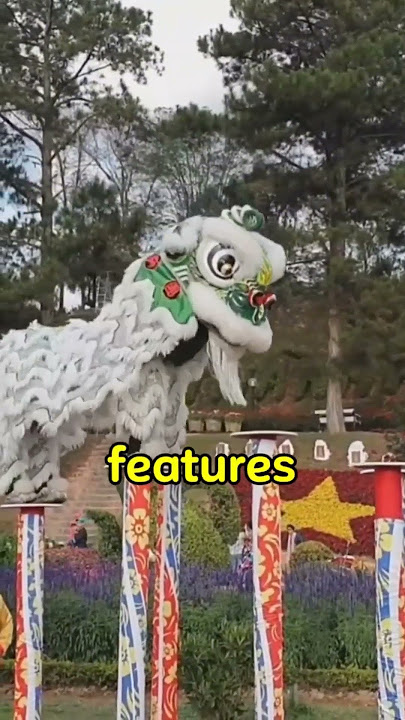Da Lat Flower Festival 2024 | Hoa Đà Lạt | Flower display #shorts #viral #flowers #flowerfestival