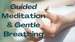 Guided Meditation & Gentle Breathing | Meditation session with Michaël Bijker screenshot 2
