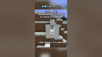 A Year Of Minecraft Seeds. (5 Million Subscriber Special)