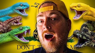 Why You Should NEVER Touch These Beautiful Snakes...