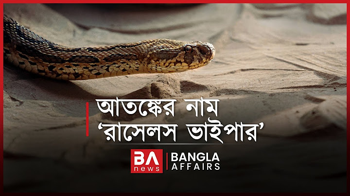 ‘রাসেলস ভাইপার’ কতোটা ভয়ঙ্কর | Bangla Affairs | Russell's Viper | Bangladesh