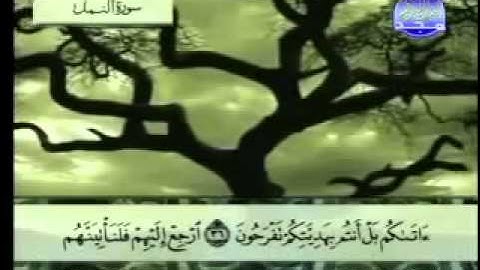 سورة النمل كاملة بصوت الشيخ عبدالباسط عبدالصمد