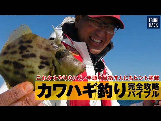 冬こそエサ釣り 真冬でも釣れるアナゴ釣り 釣り方からさばき方まで怪魚ハンターの山根さんが解説します Litetube 冬こそエサ釣り 真冬でも釣れるアナゴ釣り 釣り方からさばき方まで怪魚ハンターの山根さんが解説します Litetube