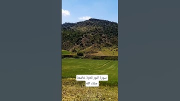 سورة النور تلاوة خاشعة مشاء الله #اكسبلور #قران_كريم #قرآن #المراه اعتني #صباح_الخير #دويتو #لايك