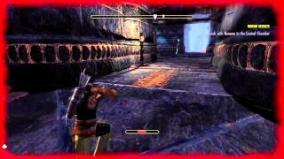 The Elder Scrolls Online Tamriel Unlimited Walkthrough Ps4 Buried Secrets Part 2