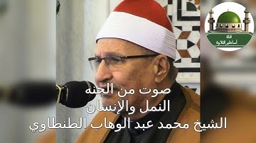 ياهوووووه سورة النمل والانسان وأداء ولا أروع للطنطاوي