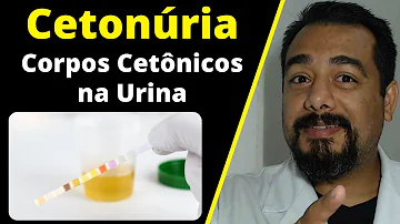 Como saber se tenho cetonas na urina?