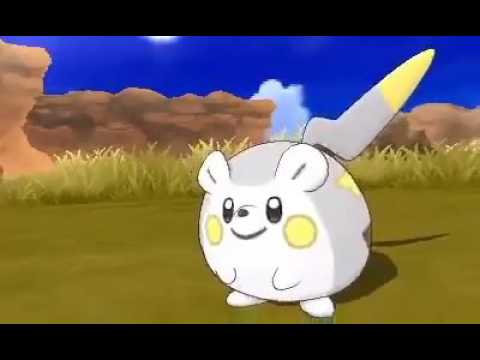 Pokemon Sun and Moon. Togedemaru revealed! - YouTube