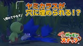 ヤミカラス ヤミカラスの食卓 リクエスト 攻略 New ポケモンスナップ ニンテンドースイッチ Youtube