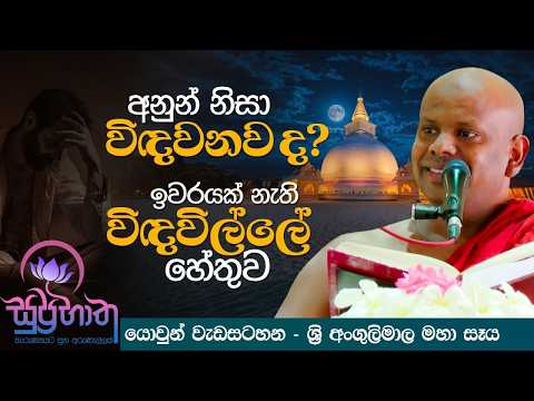 අනුන් නිසා විඳවනව ද? ඉවරයක් නැති විඳවීමේ හේතුව | Ven. Welimada Saddaseela Thero