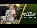 ИСПОЛЬЗУЙТЕ ЭТИ УДОБРЕНИЯ, ЧТОБЫ ВАШИ РАСТЕНИЯ БЫЛИ СИЛЬНЫМИ И ЗДОРОВЫМИ!