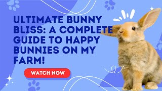 Ultimate Bunny Bliss: A Complete Guide to Happy Bunnies on My Farm! | @PetMemoir screenshot 5