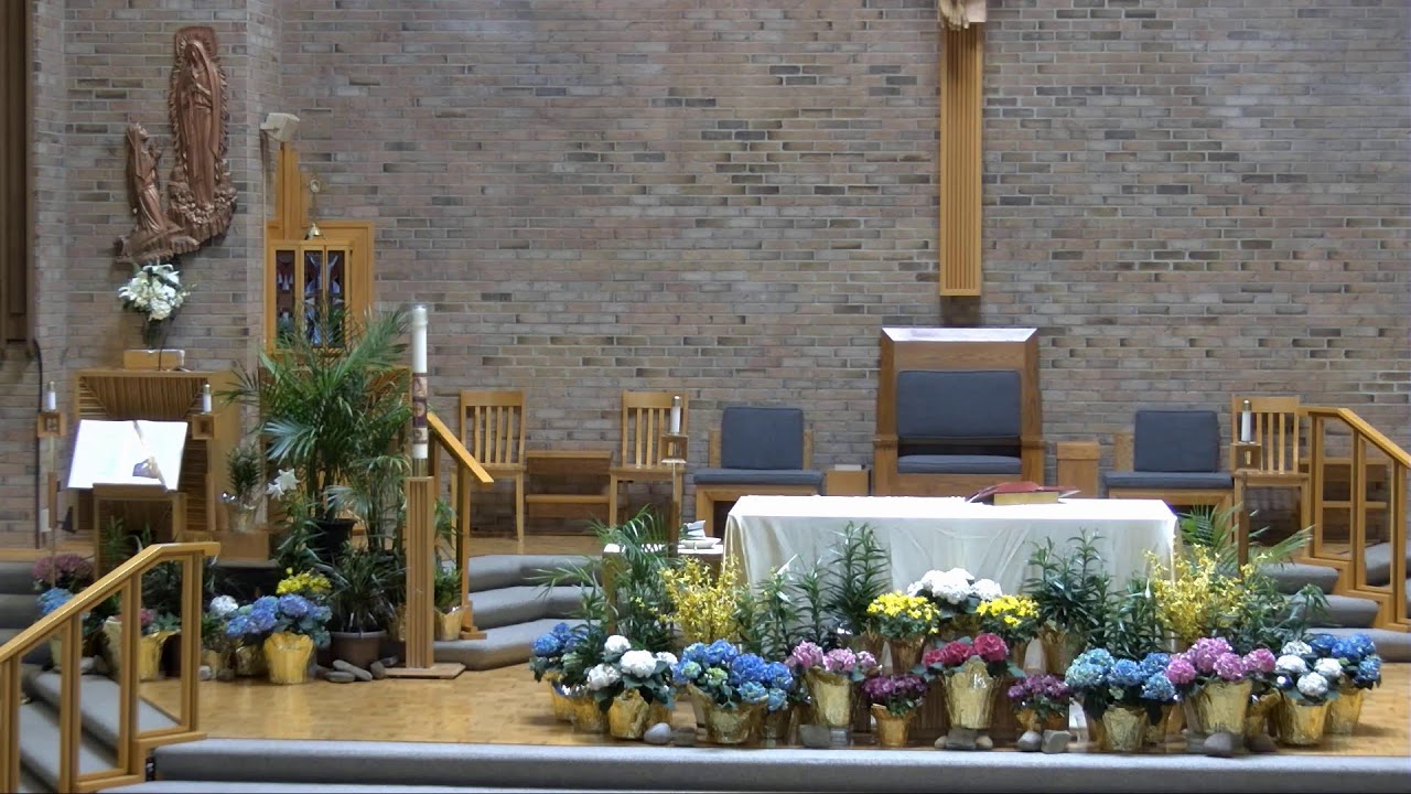 11:30 am Mass  4-24-2026