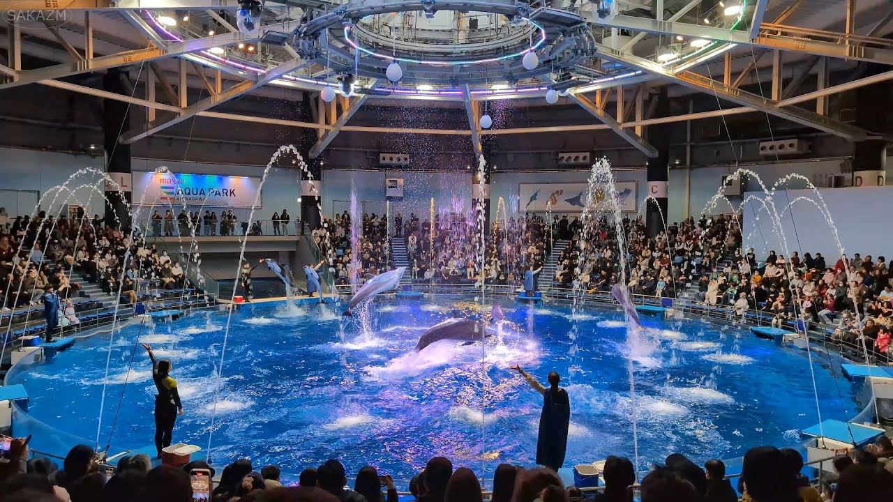 【4K】マクセル アクアパーク品川 2025冬 イルカショー 昼「NAKED SNOW AQUARIUM」ドルフィンパフォーマンス デイver「Northern Lights Journey」Hブロッ