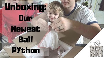 Unboxing Video | New Female Ball Python