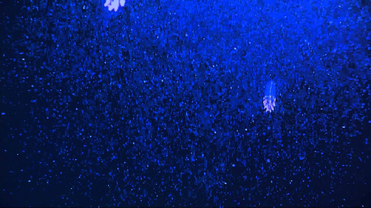 deep blue sea 3 