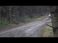 Top 3 from 2020 Olympus Rally